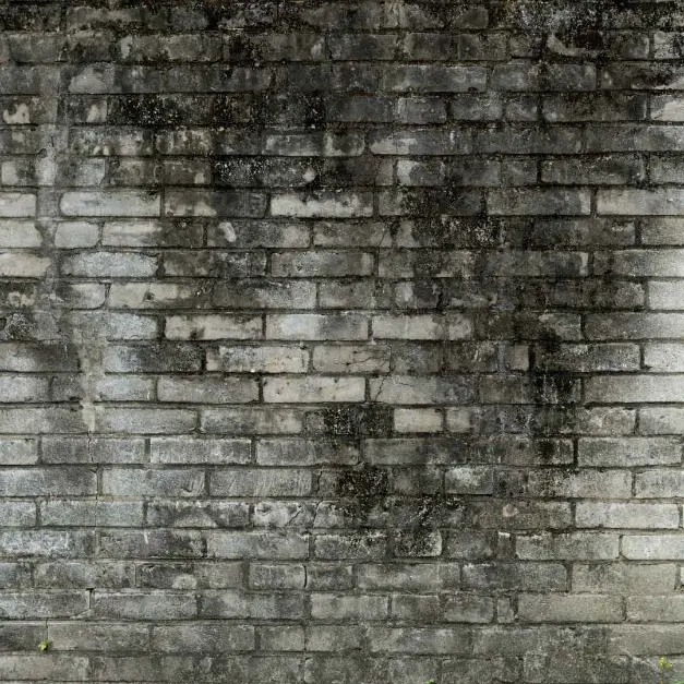 Dirty Brick Siding Restoration | Professional Cleaning Solutions Residential brick siding with accumulated dirt, stains and discoloration needing professional cleaning.