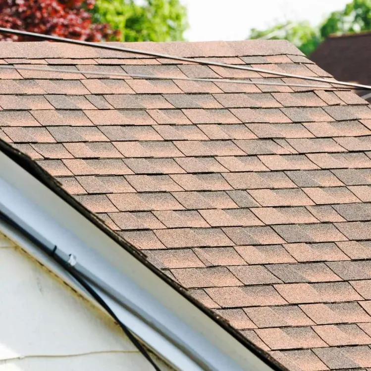 Dramatic before-and-after showing roof transformation following professional cleaning service removal of stains and debris.