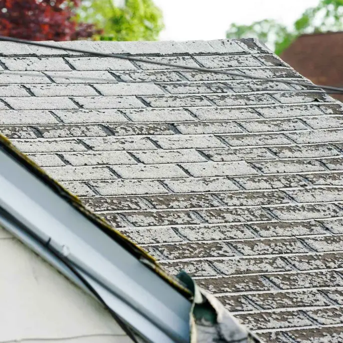 Residential roof with dark algae streaks and heavy debris accumulation requiring professional cleaning services.