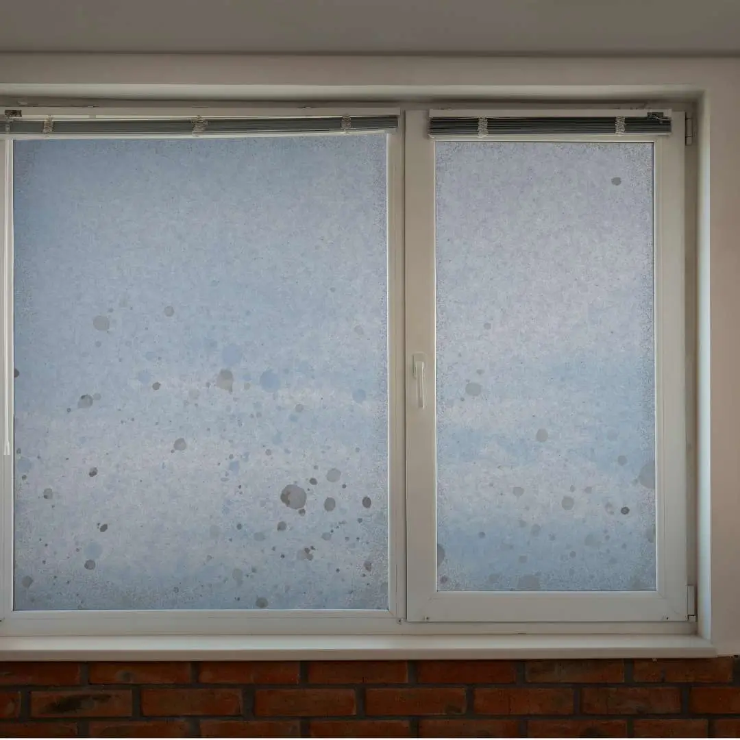 Close-up of a dirty residential window with visible streaks, grime and water spots needing cleaning.