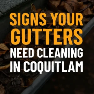Technician performing gutter cleaning on a two-story home in Coquitlam