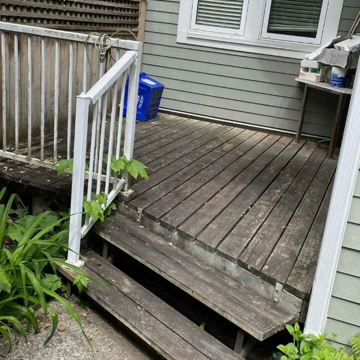 Wooden deck with white railing and surrounding plants showing signs of dirt buildup and needing cleaning attention.