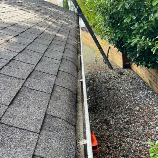 Roof with a ladder leaning against it and a garden visible below, indicating roof access for maintenance or inspection.