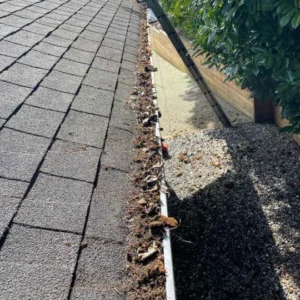 Gutter filled with leaves on a shingled roof, showing signs of clogging and poor drainage.