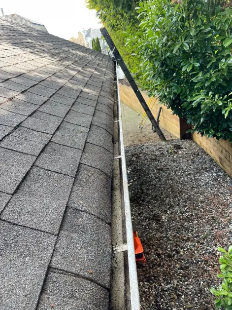 Roof gutter with ladder positioned beside it and nearby trees in the background on a clear day.