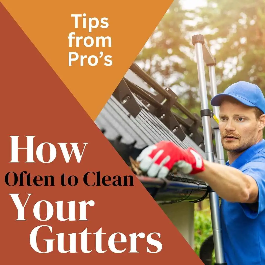Infographic showing how often you should clean your gutters with seasonal recommendations and tips.