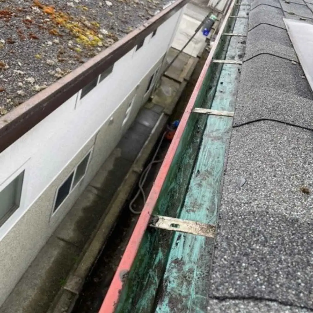 Gutter view from rooftop, showing debris accumulation.