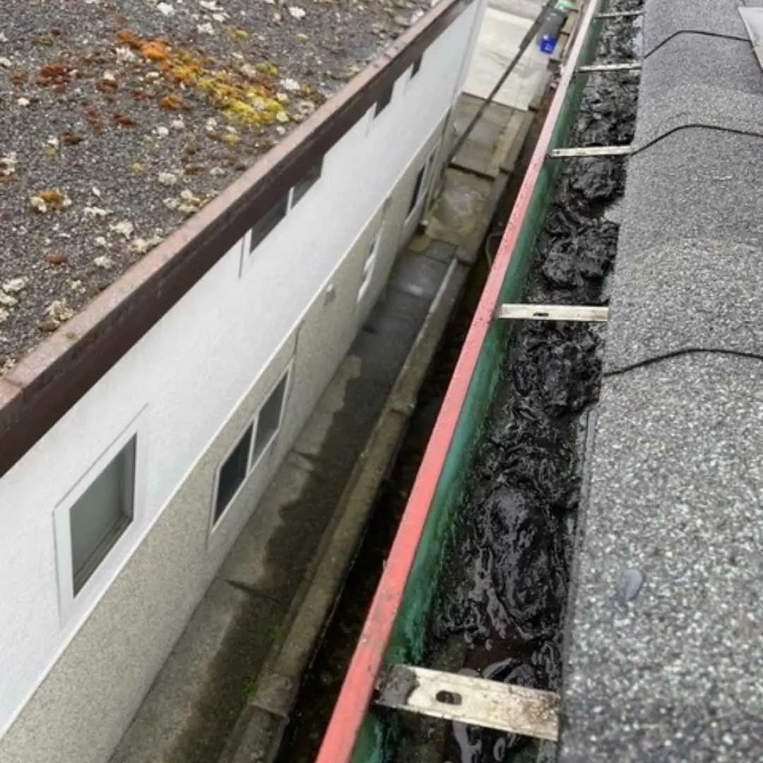 Clogged gutter filled with debris next to building.