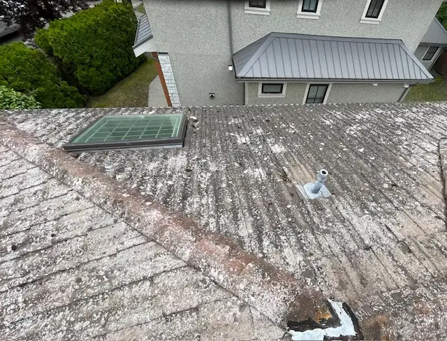 Old roof with skylight needing repair.