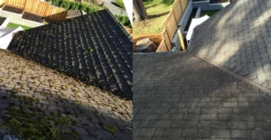 Before and after roof moss removal on an asphalt shingle roof
