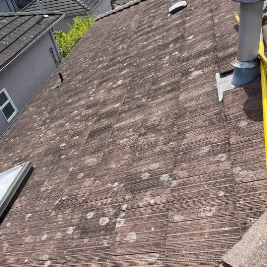 The same roof after moss removal